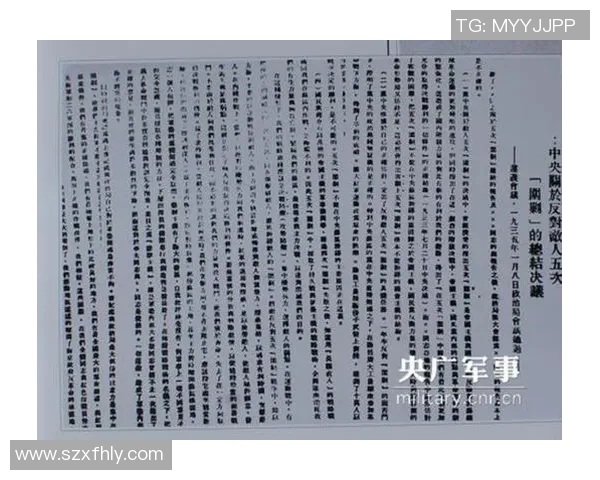 深入分析上海排球队阵地战战术及其影响力