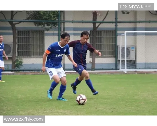 杭州羽毛球队区域防守战术解析与热点分析