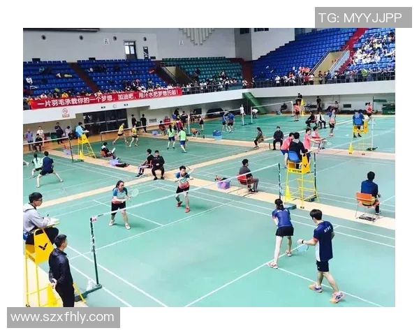 赛后分析：广州羽毛球队与西安羽毛球队个人能力对比及表现评估