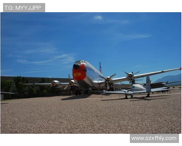 足球明星C的传奇人生与奋斗历程揭秘，追寻梦想的足迹与荣耀时刻