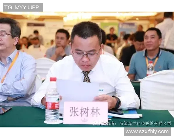 南京羽毛球队防守革新之路:战术创新与团队协作的完美结合 南京羽毛球队防守革新之路:战术创新与团队协作的完美结合